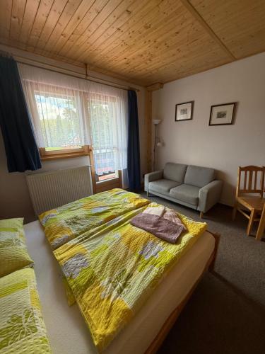 Pension U Krtka - primo u sjezdovky in Harrachov