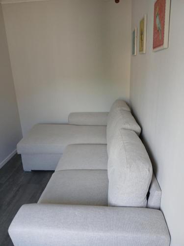 Twin trees in Skarsvag