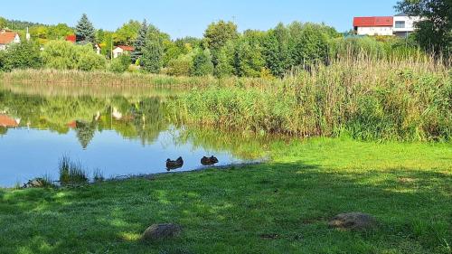 Apartament VINCENT in مراجوا