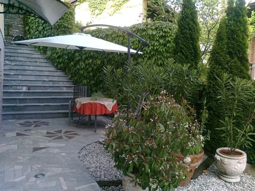 Apartma Pod Matajurjem - image 6