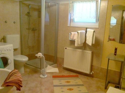 Apartma Pod Matajurjem - image 4