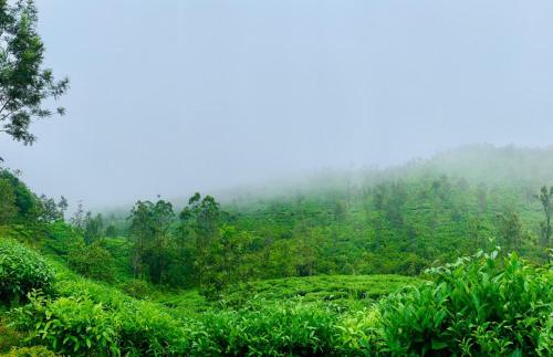 Vellore Garden Home Stay in Pambanar