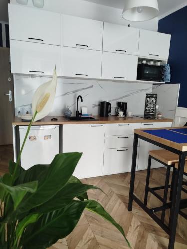 Trimare Blue Apartament Sztutowo