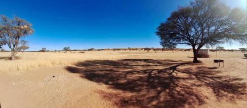 Duineveld Kalahari Camp in Kalkrand