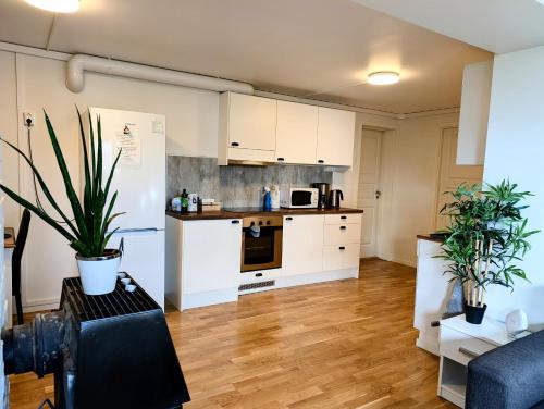 Aurora rooms in shared hause nr3 we are doing Northen Lights trip, Reaindear trip and Sommaroy Fjord in Kvaloysletta