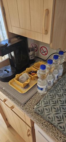 Les Tournesols in ميدلكيركى