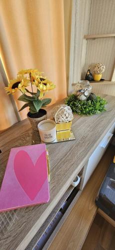 Les Tournesols in ميدلكيركى