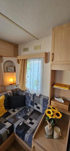 Les Tournesols in ميدلكيركى