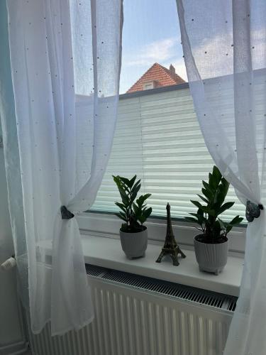 Pension in Delmenhorst, Delmenhorst (fotografie 10)