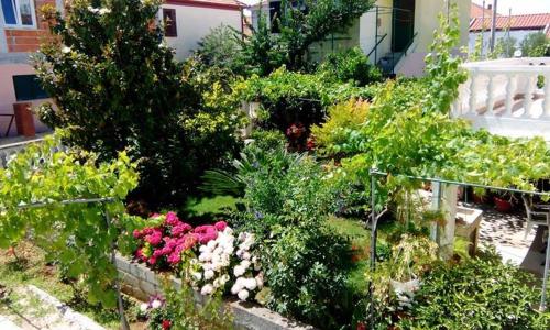  Apartment Matovina in Zadar