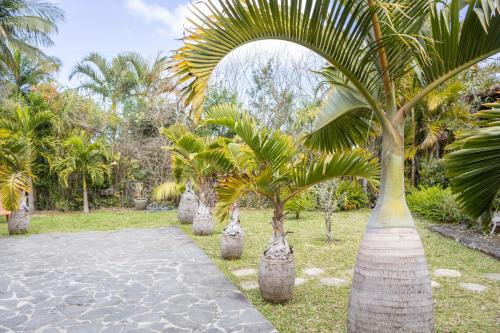 Villa Ti Gargoulette - Location, gîte - Saint-Joseph