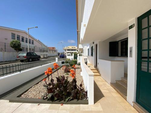 Apartment Wolf, Lourinhã (fotografie 3)