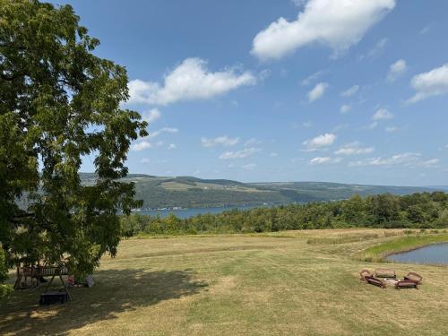 Wine Down, Hammondsport (foto 2)