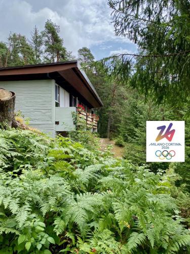 Ca' Mugo, chalet immerso nel bosco gîte à louer Vodo di Cadore