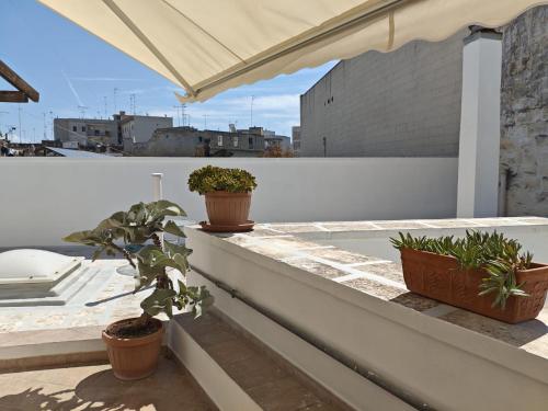 La Terrazza, Lecce (fotografie 8)