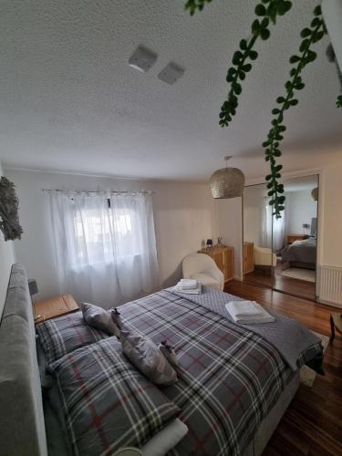 Cosy home in Inverness in 萊格莫爾