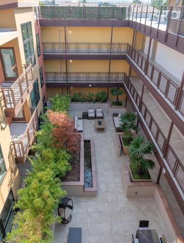 King Bed-Walk Downtown-Free Garage Parking-Laundry in Walnut Creek (Kalifornia)