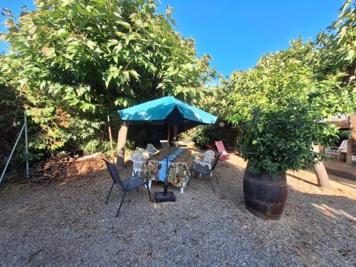 Les mûriers - Etage complet d'une grande maison avec jardin (Les muriers - Etage complet d'une grande maison avec jardin) in Argeliers