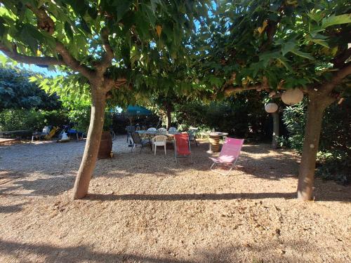 Les mûriers - Etage complet d'une grande maison avec jardin (Les muriers - Etage complet d'une grande maison avec jardin) in Argeliers