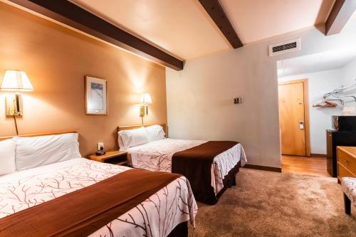 Aisling Suites - image 12