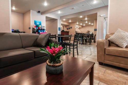 Előcsarnok, Cobblestone Inn & Suites Big Lake in Big Lake (TX)