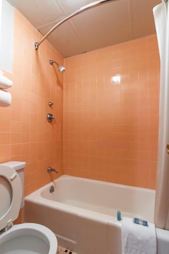 Aisling Suites - image 5