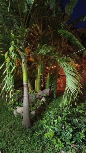 Villa Los Duendes, Cancún (Foto 8)