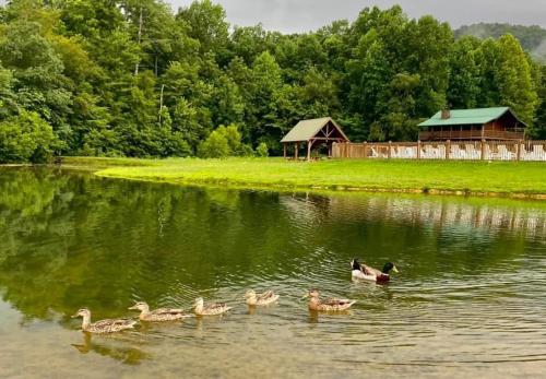Hidden Cove Cabin in Sevierville, USA