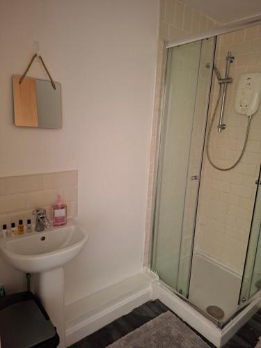 Room with bathroom, Middlesbrough (foto 10)