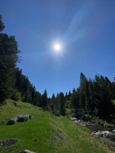 S'Vitt, Skhidnytsia (foto 7)