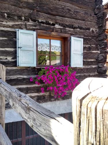 Casa Palmira in Centro