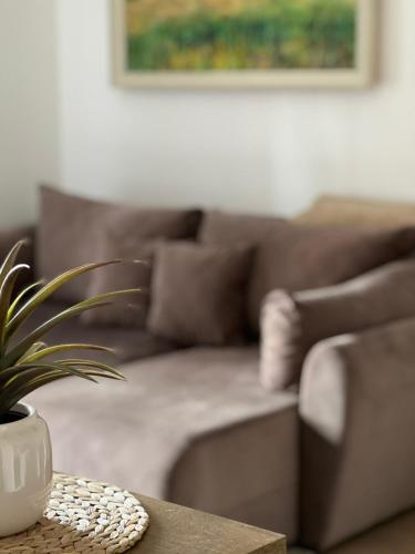 Pine & Peak Zlatibor Apartman - image 3