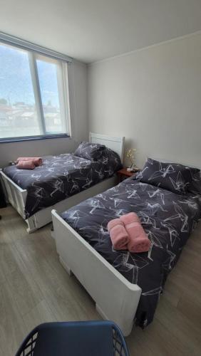 Patagonia Apartment Pool and Comfort