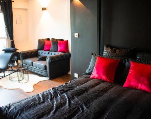 Feather room - voyage, love, sexx - Location saisonnière - Troyes