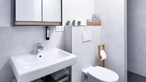 ALFA Stuttgart Mikroapartment 2 Betten Küche Bad l SmartTV WIFI l Porsche & Bosch l 2 Beds Kitchen Bath BS21A2, Stoccarda (foto 9)