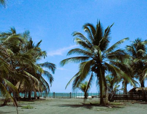 пляж, Coco y arena cabaña frente al mar, lejos del turismo y cerca a los manglares (Coco y arena cabana frente al mar, lejos del turismo y cerca a los manglares) in San Bernardo del Viento