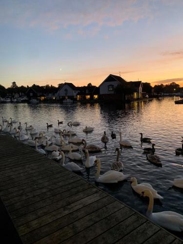 Hotel Wroxham, Wroxham (fotografie 9)