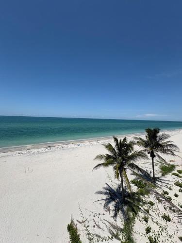 Don Pedro Island Canal dock and 5 Min to Beach in Placida