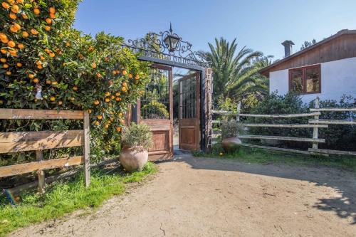 Lodge Los Naranjos de Mallarauco