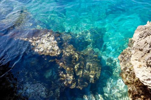 Nautilus Apartments - image 8