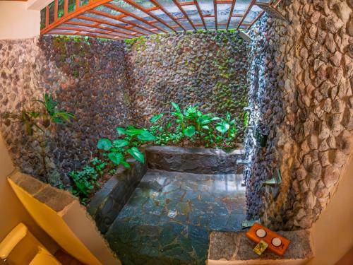 Lost Iguana Resort and Spa, Fortuna (foto 3)