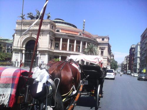 Palermo Centrale, Palermo (fotografie 4)