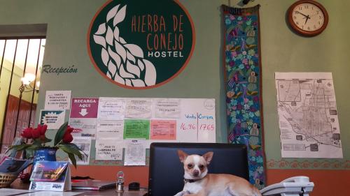 Front desk [24-hour]