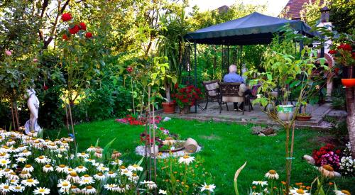 Pensiunea Sub Cetate Deva Pensiunea Sub Cetate Deva