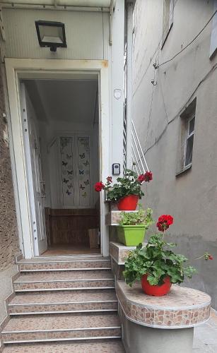 入口, AT Home in 布爾加斯