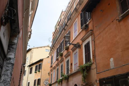 Trust-trastevere - image 7