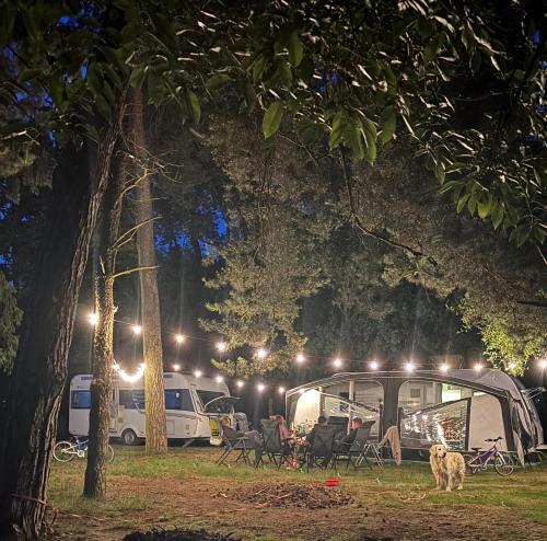 Moin Camp, Ottersberg (fotografie 2)