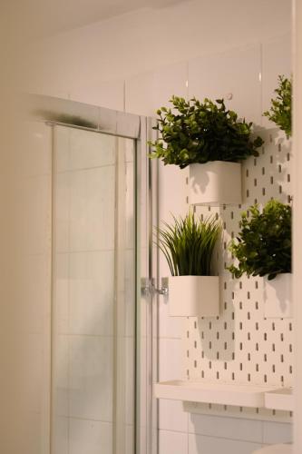 Trust-trastevere - image 6