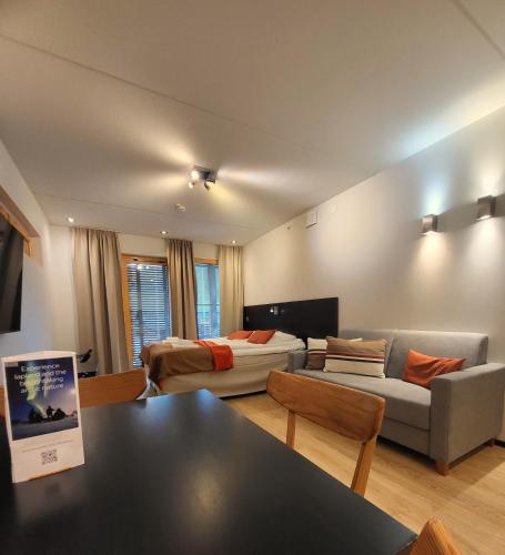 Superior Studio C31 - Mountain view