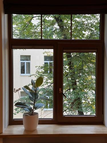 Wood 'n Brick, Riga (foto 9)